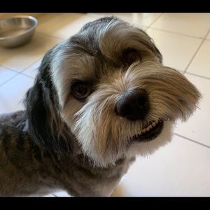 Meet your Posher, Carolyn